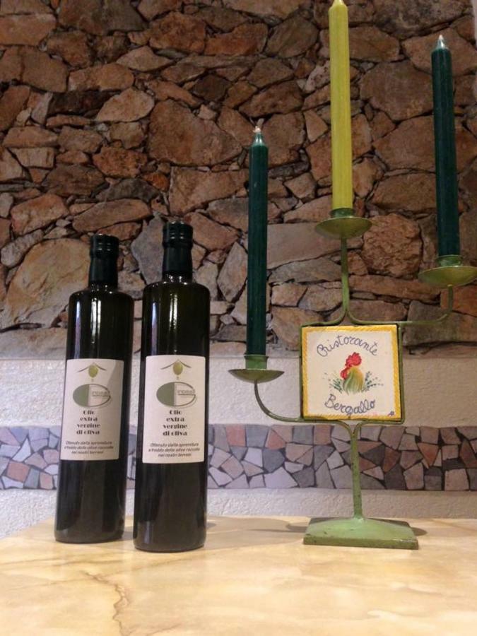 Albergo Ristorante Bergallo Tovo San Giacomo Kültér fotó